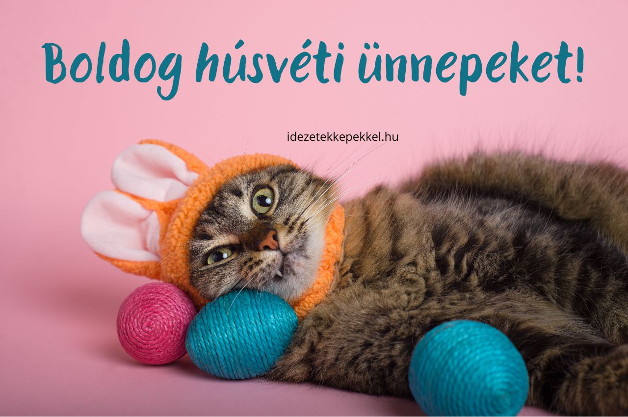 húsvéti cicás kép boldog húsvéti ünnepeket